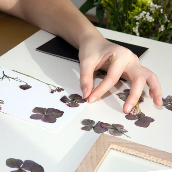 Moldura para Flores Prensadas - Kikkerland - Image 3