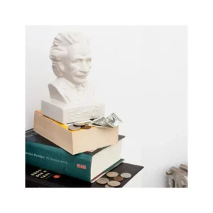 Mealheiro Einstein - Kikkerland