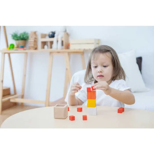 Cubo Frações - Plantoys - Image 2
