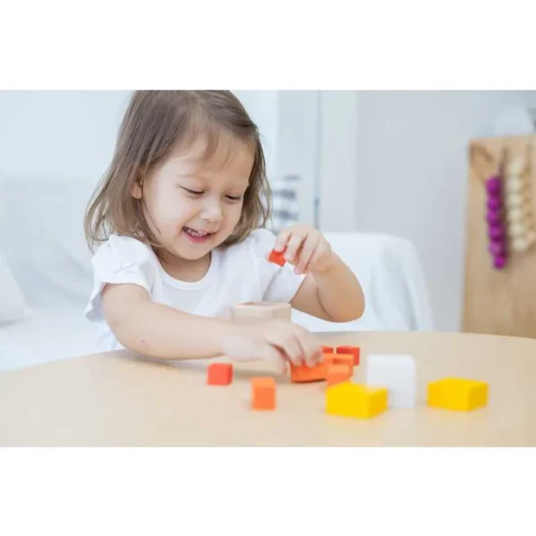 Cubo Frações - Plantoys - Image 4