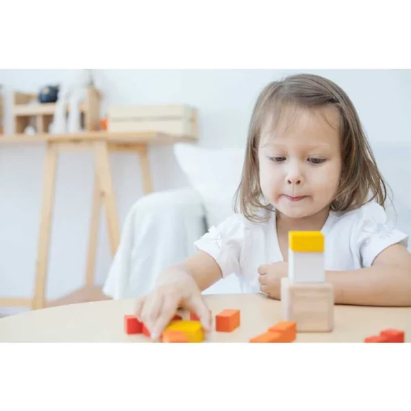 Cubo Frações - Plantoys - Image 5
