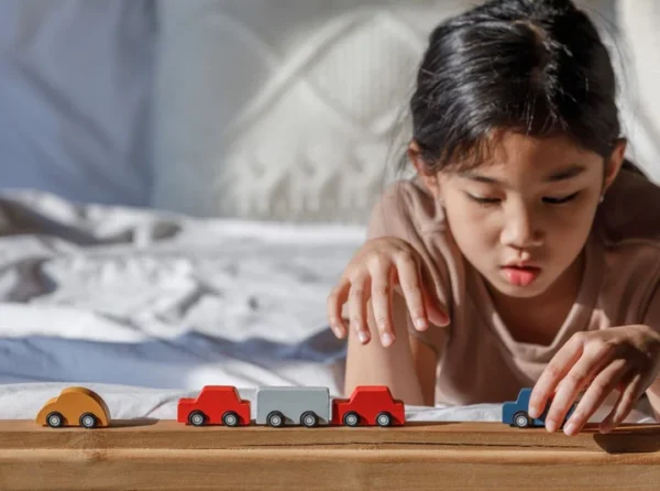 carros de madeira plantoys